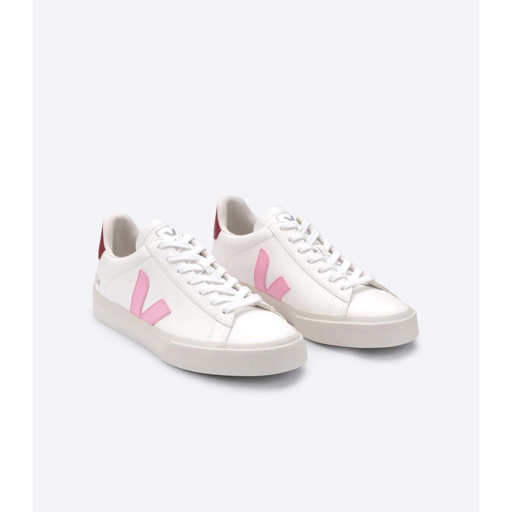 Men's Veja CAMPO CHROMEFREE Low Tops Sneakers White/Pink | ZA 193WNB